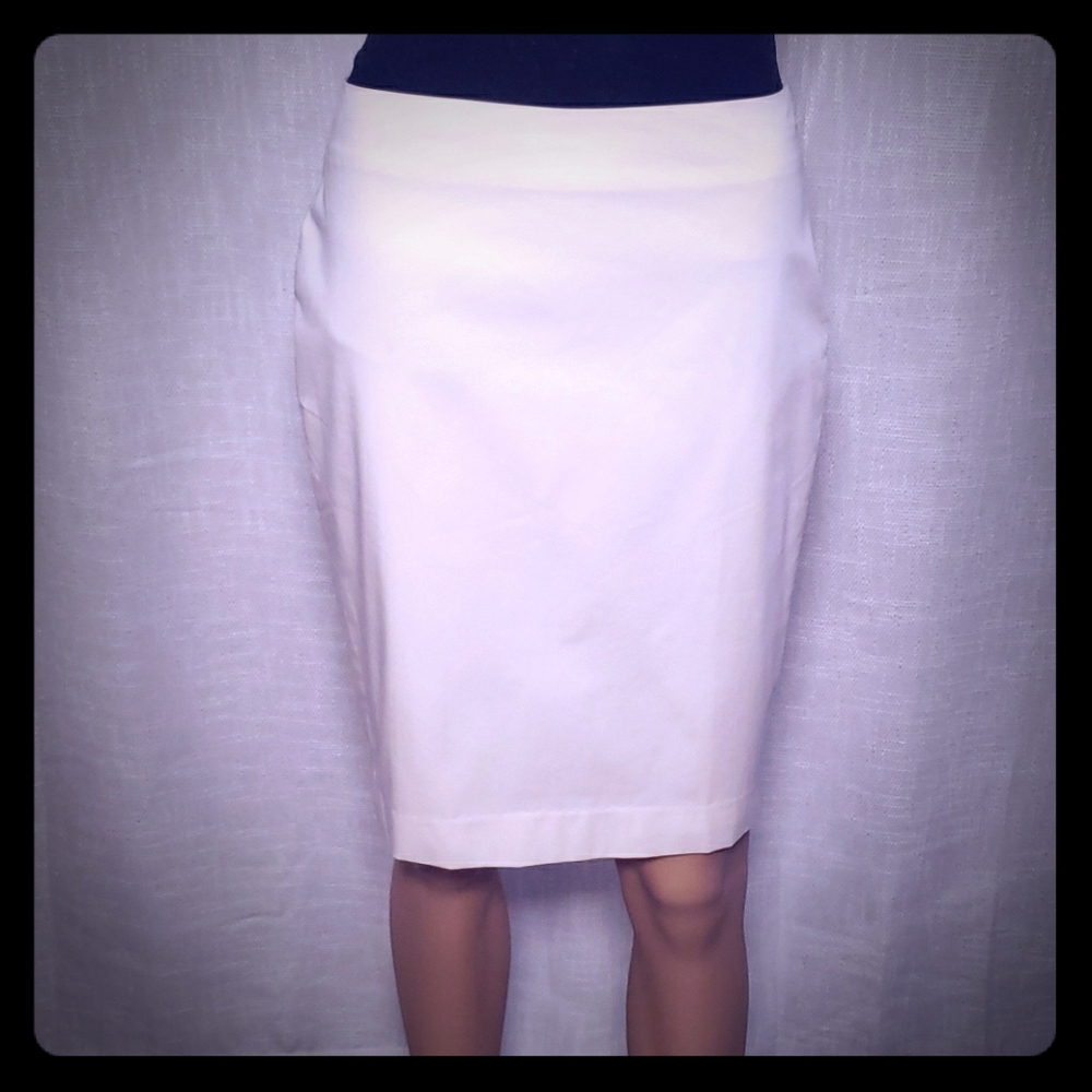 Ann Taylor skirt